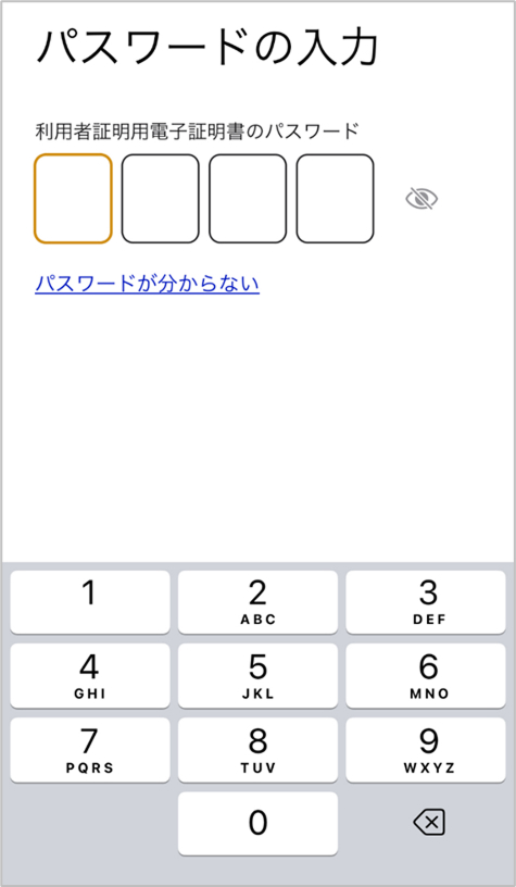 パスワード入力